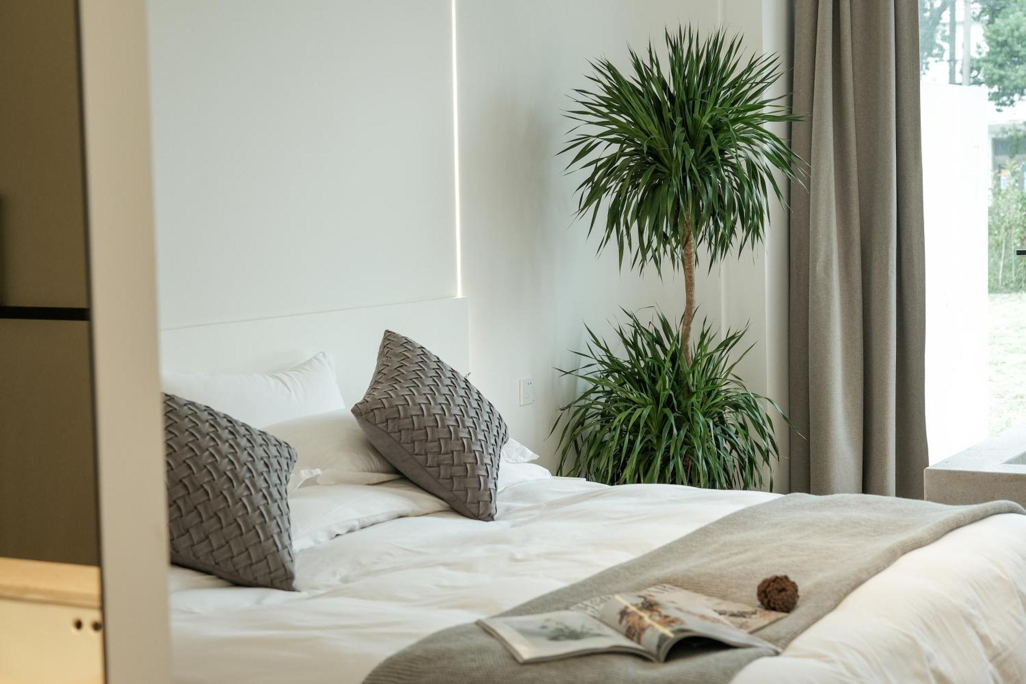 Hotel My 5*